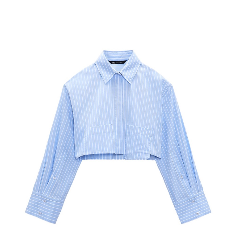 Zara Cropped Stripe Top